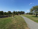 20200816_141107.jpg