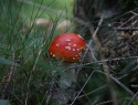 IMG_3304.JPG