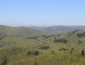 IMG_4642.JPG