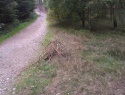 IMAG0158.jpg