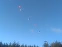 IMAG0166.jpg