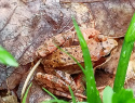 07052022_02 (18).jpeg