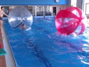 IMAG0775.jpg