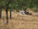 IMG_3416.JPG