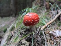 IMG_3460.JPG