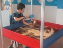 20160604_144259.jpg