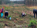15042023 (8).jpeg 15042023 (8).jpeg